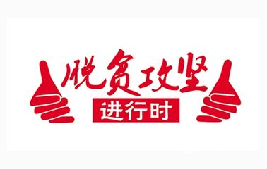 财政收入_2017地方财政收入(3)