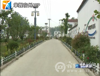 埇桥区政协调研美丽乡村建设工作