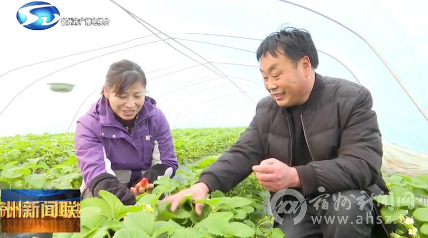  三大运营商成立“铁塔公司” 未来或将引入民资