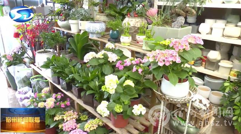宿州：花卉市场春意浓