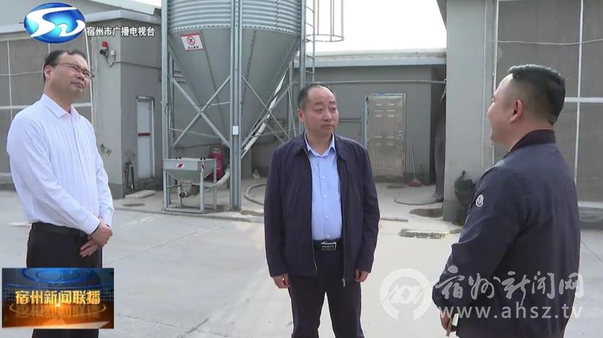 市领导调研春季田管和畜禽养殖工作
