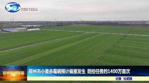  宿州市小麦赤霉病预计偏重发生  防控任务约1400万亩次